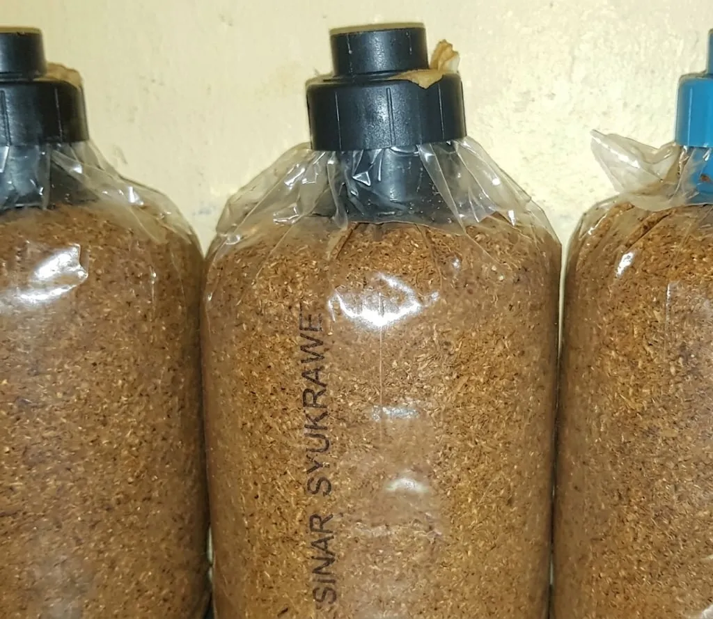 Benih cendawan di dalam botol berlabel Sinar Syukrawie.