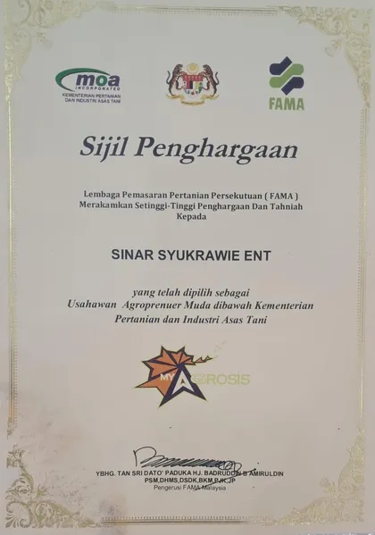 Sijil Penghargaan FAMA kepada Sinar Syukrawie Ent sebagai Usahawan Agropreneur Muda.