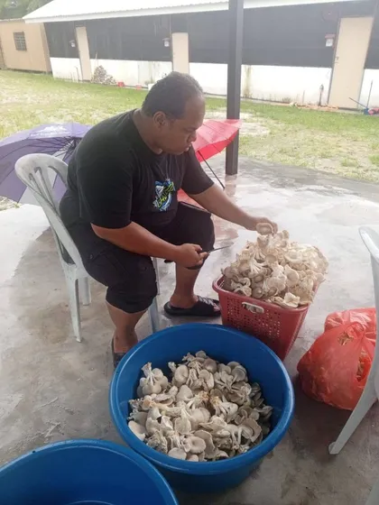 Pekerja mengasingkan hasil tuaian ke dalam besen.